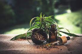 Marijuana Cannabis